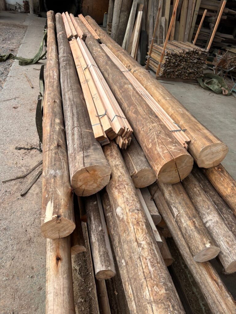 WhatsApp Image 2024-09-18 at 11.18.46 (1)