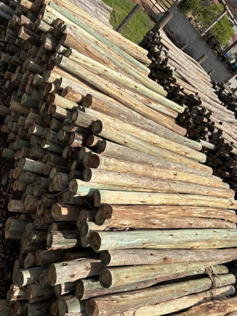 WhatsApp Image 2025-10-01 at 14.24.22